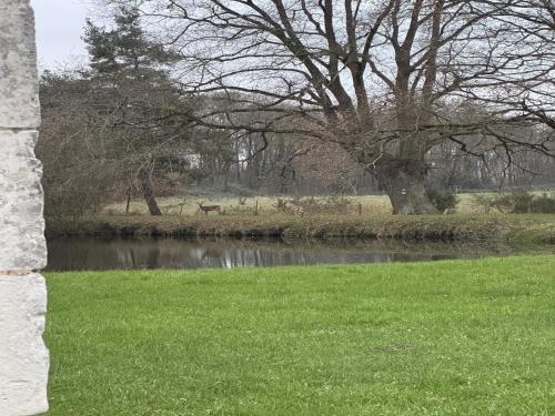 a field with grass and a pond with deer in the background at Chalet in Aubigné-Racan with Pool & Garden in Aubigné-Racan