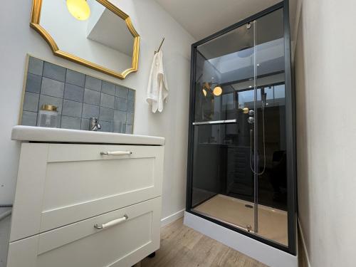 une salle de bain avec un lavabo et une douche dans l'établissement Apartment in Le Mans with Private Terrace, au Mans