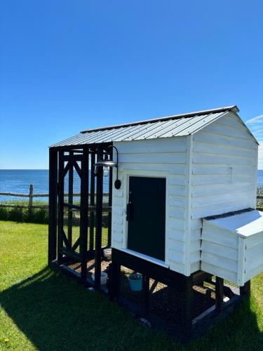 a white dog house on a stand on the grass at Hôtel-Motel Vagues Vertes in Perce