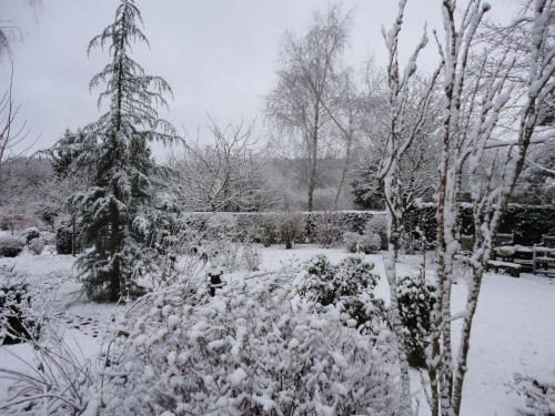 a garden covered in snow with a tree and bushes at Relax @ Maison Sax in Oppagne