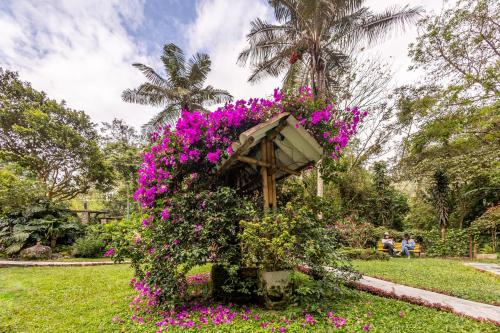 a bird feeder filled with flowers in a park at Ecohotel Piedemonte in Salento