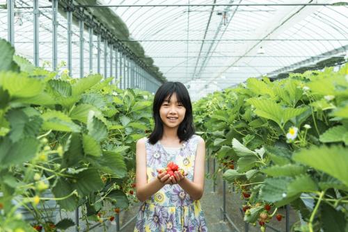Gallery image of THE FARM Resort Japan in Katori