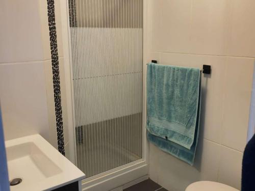 La salle de bains est pourvue d'une douche, d'un lavabo et d'une serviette. dans l'établissement Appartement rénové 2 chambres avec parking au Barcarès - FR-1-195-121, au Barcarès