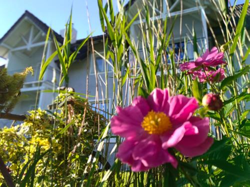 Nähe Traunsee-Attersee OGO