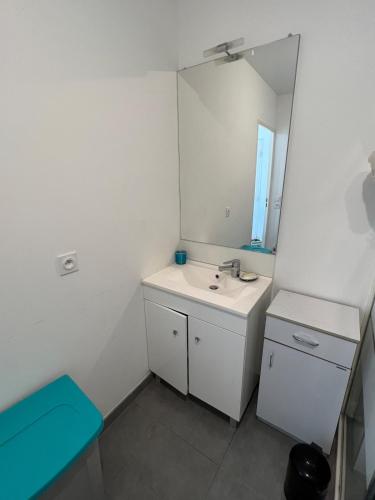 une salle de bain avec un lavabo blanc et un miroir dans l'établissement Appartement Perpignan, à Perpignan