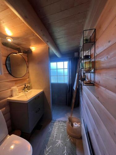 a bathroom with a sink and a toilet and a mirror at Feel Calm In A Log Cabin Near Klintebjerg in Nykøbing Sjælland