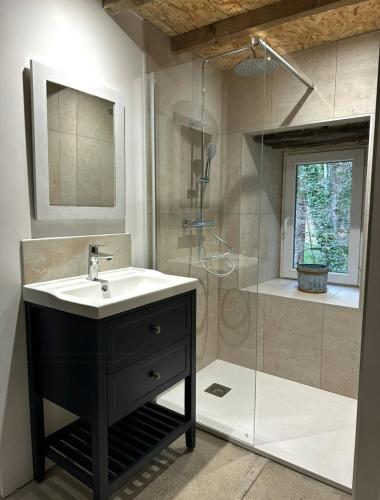 une salle de bain avec un lavabo et une douche dans l'établissement Historic Mill In The Heart Of Black Mountain, à Caudebronde