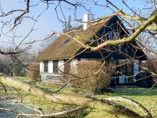 an old house with a thatched roof and a tree at Hyggeligt Skovhus Med Fjordudsigt Nær Jægerspris in Kulhuse