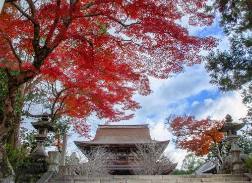 a pagoda and trees with red autumn leaves at 吉野宮滝 サウナ付き-2025年9月1日以降-古民家 ちょうちんの宿 in Yoshino