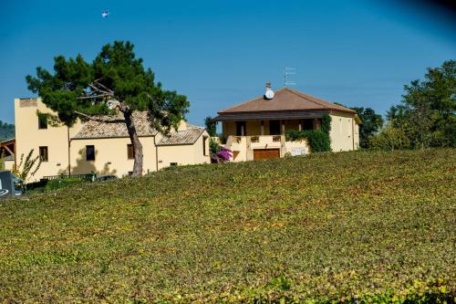 a house sitting on top of a grassy hill at Masseria del Vino in Loreto Aprutino