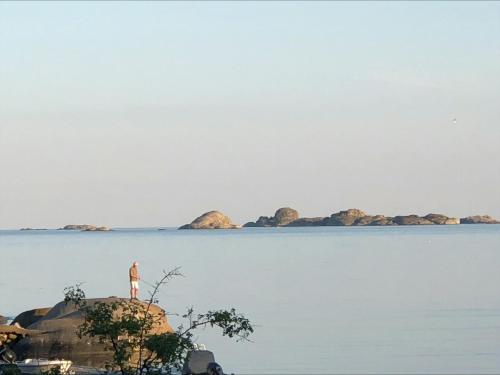 別荘の近くで見られる自然の景観