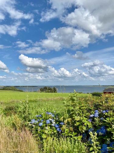 a field of flowers with the ocean in the background at Summer House With Panoramic View Near Doverodde in Doverodde