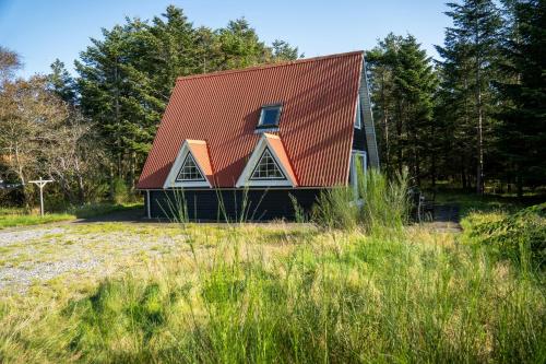 a house with a red roof on top of a field at Summerhouse By The North Sea in Vestervig