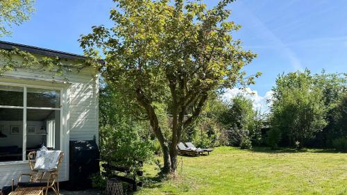 a tree in the yard next to a house at Architectural Gem In Hornbæk Near The Beach in Hornbæk