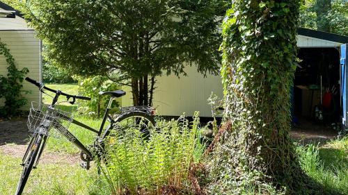 a bike parked next to a tree in a yard at Architectural Gem In Hornbæk Near The Beach in Hornbæk