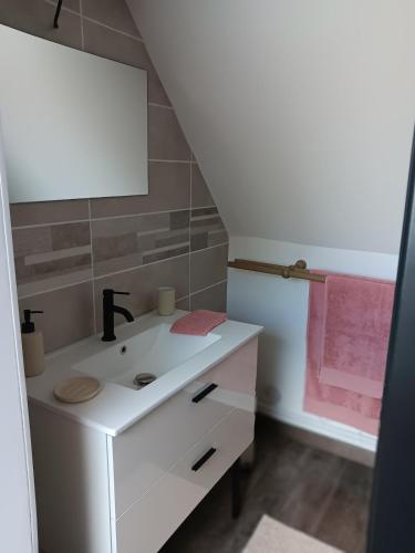 une salle de bain avec un lavabo blanc et un miroir dans l'établissement Cathy and Seb's place, à Illies