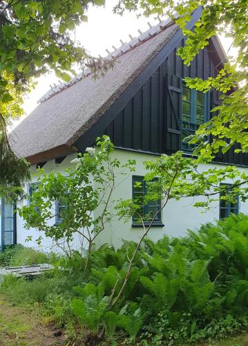 a white house with black windows and plants at Colour Joy In Thatched House Of The North Coast in Hundested