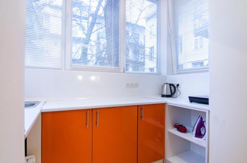 リヴィウにあるMini Apartments on Roppoporta 7a-2のキッチン(オレンジ色のキャビネット付)、窓2つが備わります。