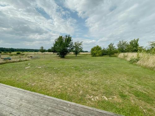 a large grassy field with a tree in it at Natural Wooden House With Panoramic View in Ihlow