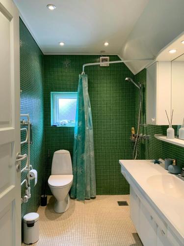 a green bathroom with a toilet and a shower at 1930S Family Holiday Home In Skagen in Skagen