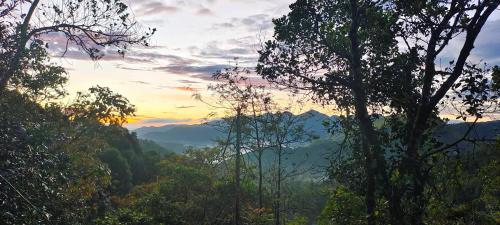 a sunset in the mountains with trees in the foreground at ROBIN'S PARADISE in Vagamon