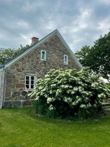 Κήπος έξω από το Historic House By Kongeåen And Freedom Bridge