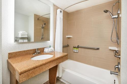 a bathroom with a sink and a bath tub at Holiday Inn Express & Suites Jacksonville South East - Medical Center Area by IHG in Jacksonville