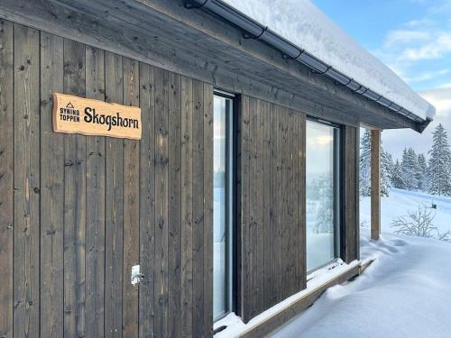 Modern Cabin With Mountain View By Syningtoppen semasa musim sejuk