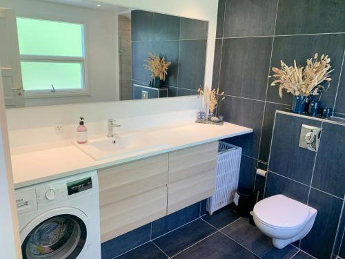 une salle de bain avec un lavabo et une machine à laver dans l'établissement Modern Cottage Near North Zealand's Beaches, à Smidstrup
