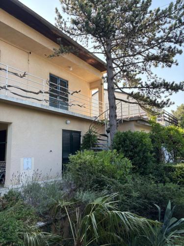 a house with a tree in front of it at Nona - 200m from the beach in Jadranovo