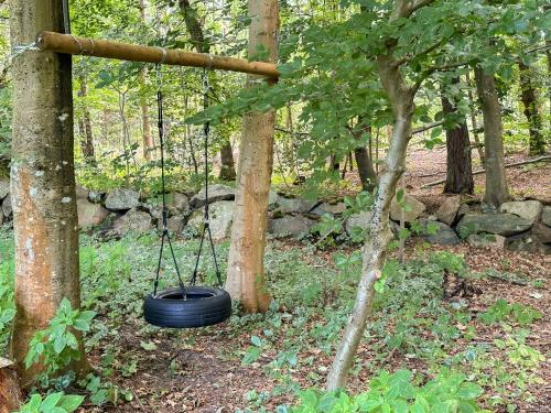 a tire swing in the middle of a forest at Bright Home Near Brødemose Forest With Views in Frederiksværk