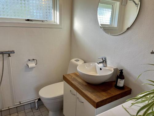 a bathroom with a sink and a toilet and a mirror at Charming Beach Cottage In Gilleleje in Gilleleje