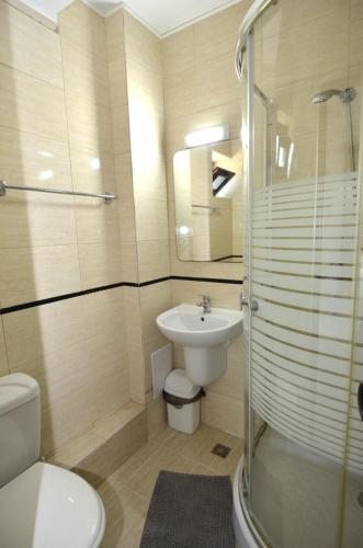 a bathroom with a sink and a toilet and a shower at Vila Bliss in Costinesti