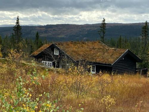Naturlandskabet i nærheden af feriehuset
