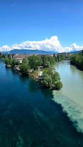 an aerial view of a river with trees and buildings at Duplex à 2 pas de l'aéroport, proche ONU & Palexpo in Ferney-Voltaire