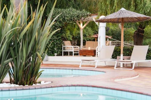a patio with a pool and chairs and an umbrella at Almira Hotel in Troulos