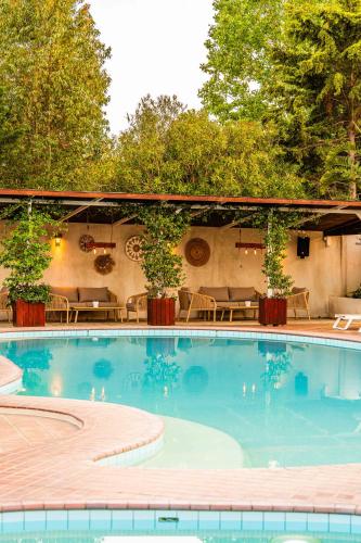 a large swimming pool with chairs and a patio at Almira Hotel in Troulos