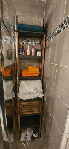 une petite salle de bain avec une douche avec des serviettes et une douche dans l'établissement Villa de vacances avec piscine Green Village, à Roquebrune-sur Argens