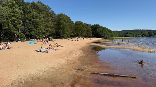 a group of people on a beach near the water at Modern guesthouse in Sätila, Lygnern in Sätila