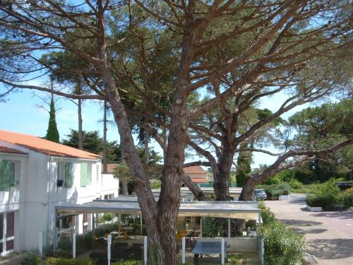 a tree in front of a white building at Le Parasol in Ars-en-Ré