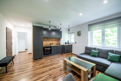 a living room with a couch and a table at Apartament Lipowa 26 in Gliwice