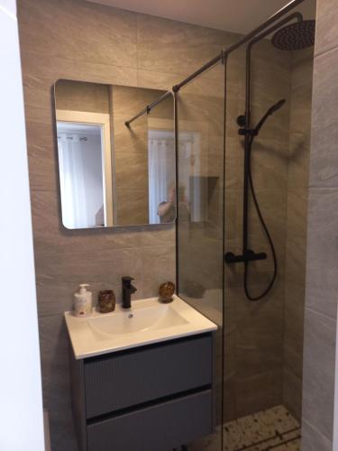 a bathroom with a sink and a shower with a mirror at Ramus poilsis in Nida