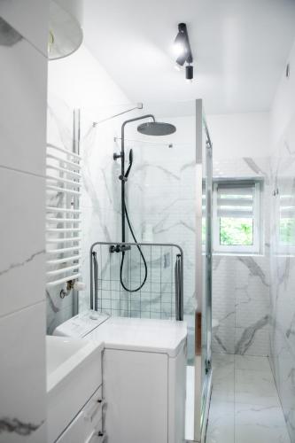 a white bathroom with a shower and a sink at Apartament Lipowa 26 in Gliwice