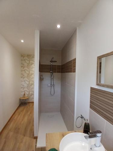 a bathroom with a shower and a white sink at Les Oliviers in Chériennes