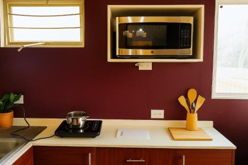 a kitchen with a counter top with a microwave at Regiotepec - Centro in Monterrey