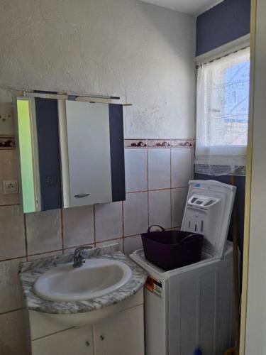 une salle de bain avec un lavabo et un miroir dans l'établissement La mouette Clim vue mer accès plage direct, à Fleury