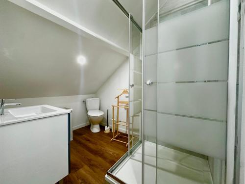 a bathroom with a sink and a toilet at La Coloc' in Rouen