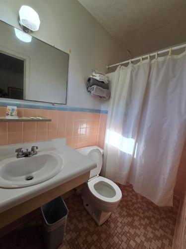 a bathroom with a sink and a toilet and a mirror at OYO Sandman Inn in Eagle Grove