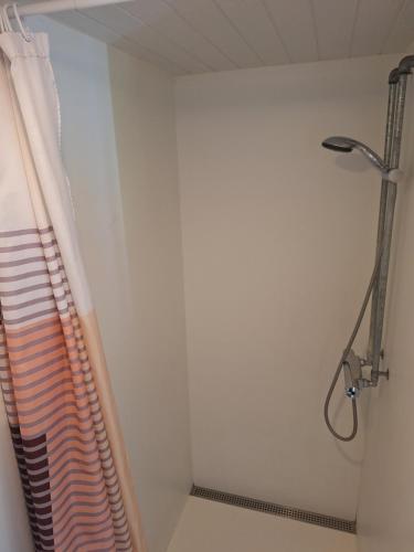 a shower in a bathroom with a shower curtain at Tiny house i nærheden af Egeskov Slot in Kværndrup