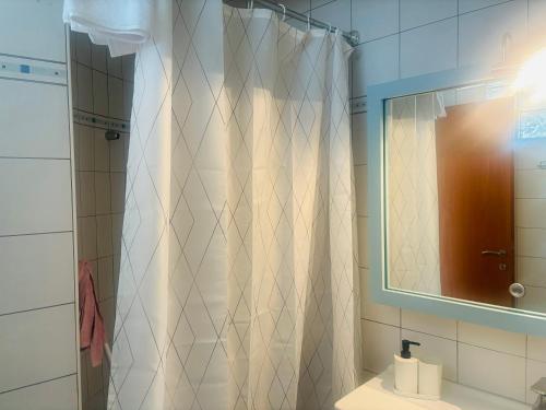フロギタにあるBoutique Apartment 1のバスルーム(シャワーカーテン、鏡付)